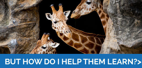 Where learning is fun- but how can I help them learn?