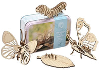 Life Cycle of a Butterfly Gift in a Tin