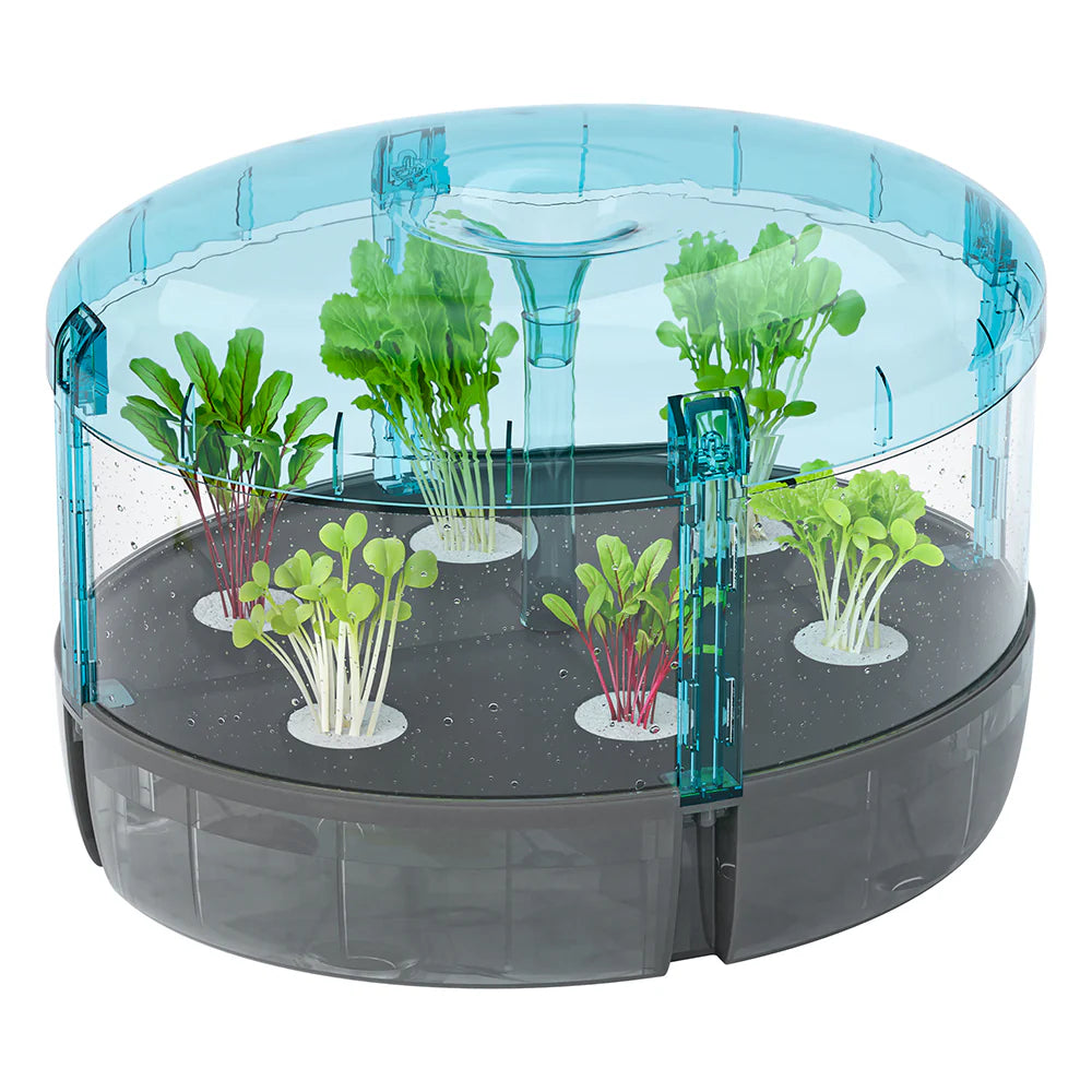 Labcorp Hydroponics Lab Hydroponics Lab · BrightMinds UK