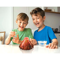 Mega Earth Science | 4-in-1 Scientific Experiment Kit for Kids