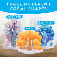 Nat Geo Crystal Reef Growing Lab