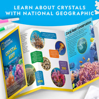 Nat Geo Crystal Reef Growing Lab