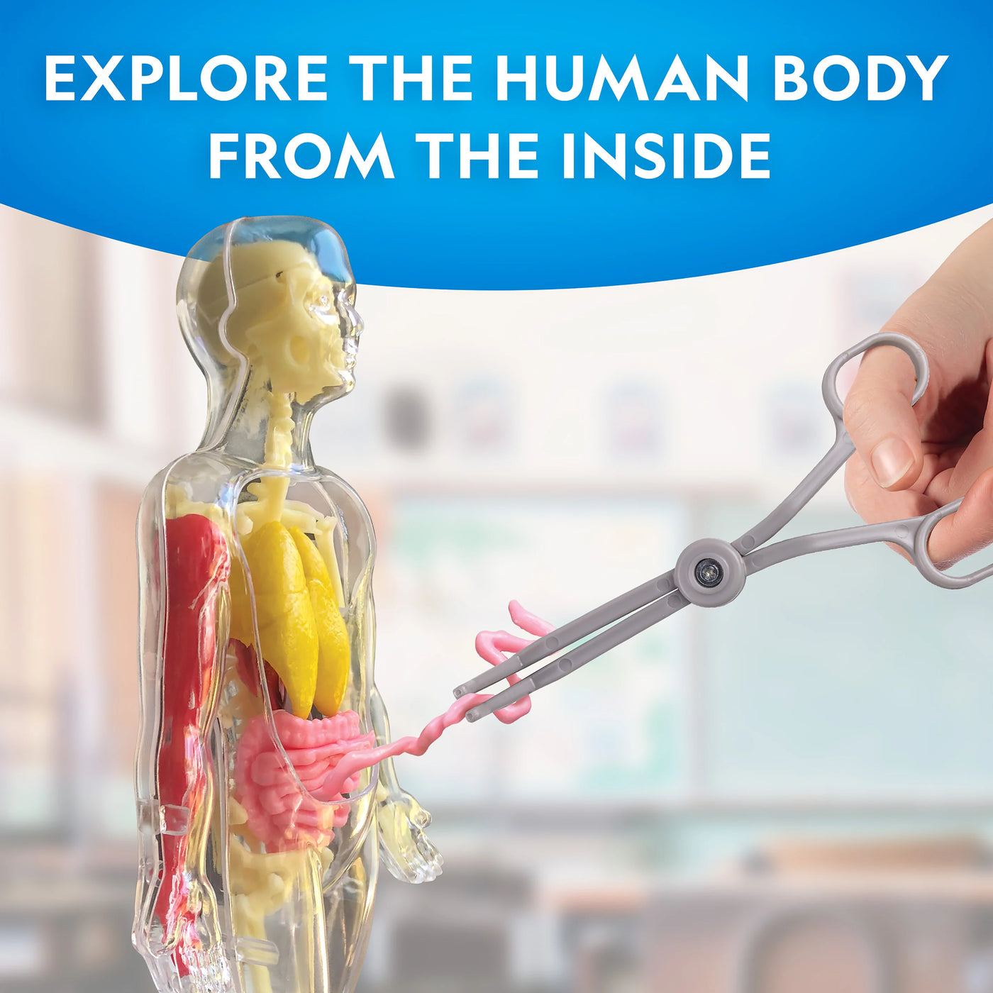 Nat Geo Human Body Science Kit