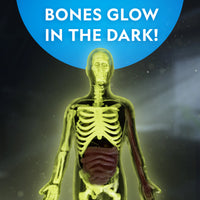 Nat Geo Human Body Science Kit
