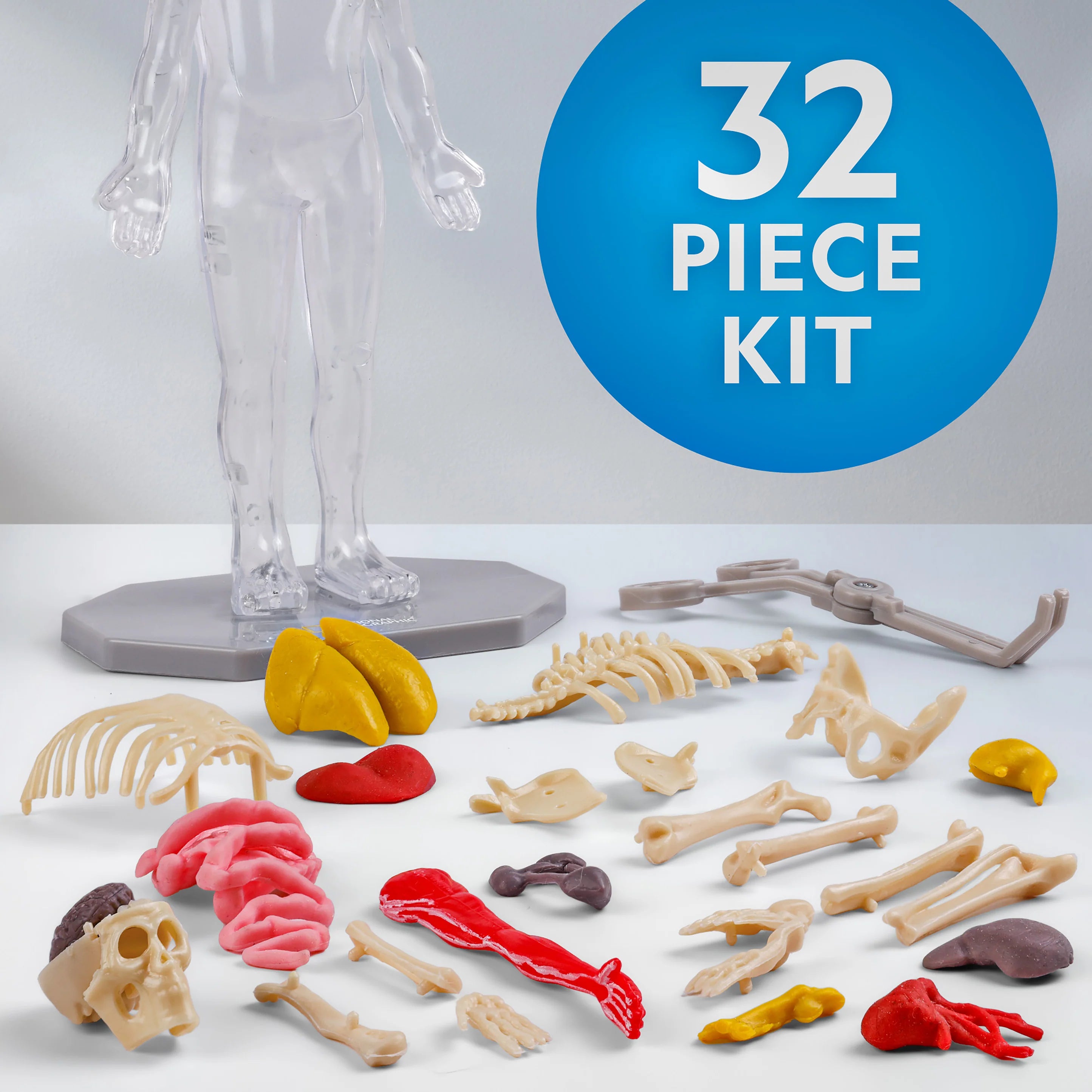 Nat Geo Human Body Science Kit