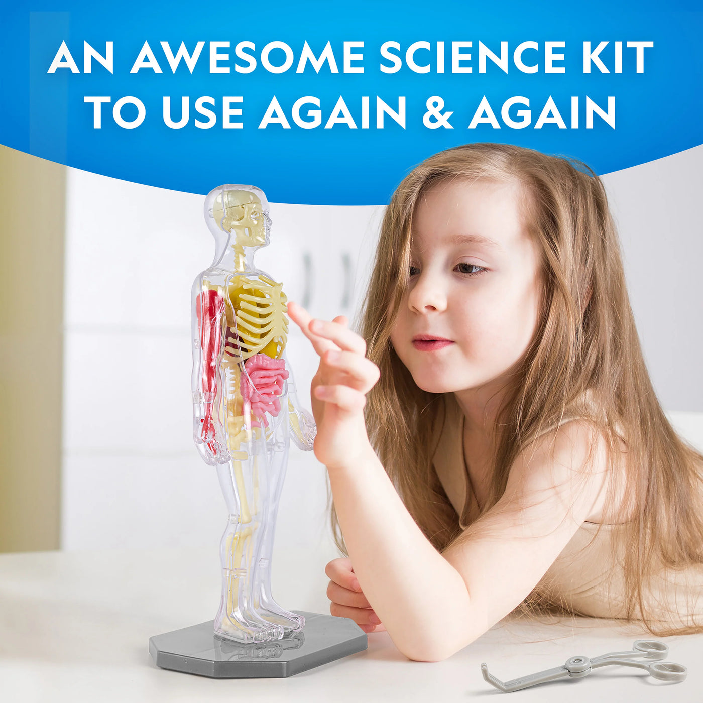 Nat Geo Human Body Science Kit