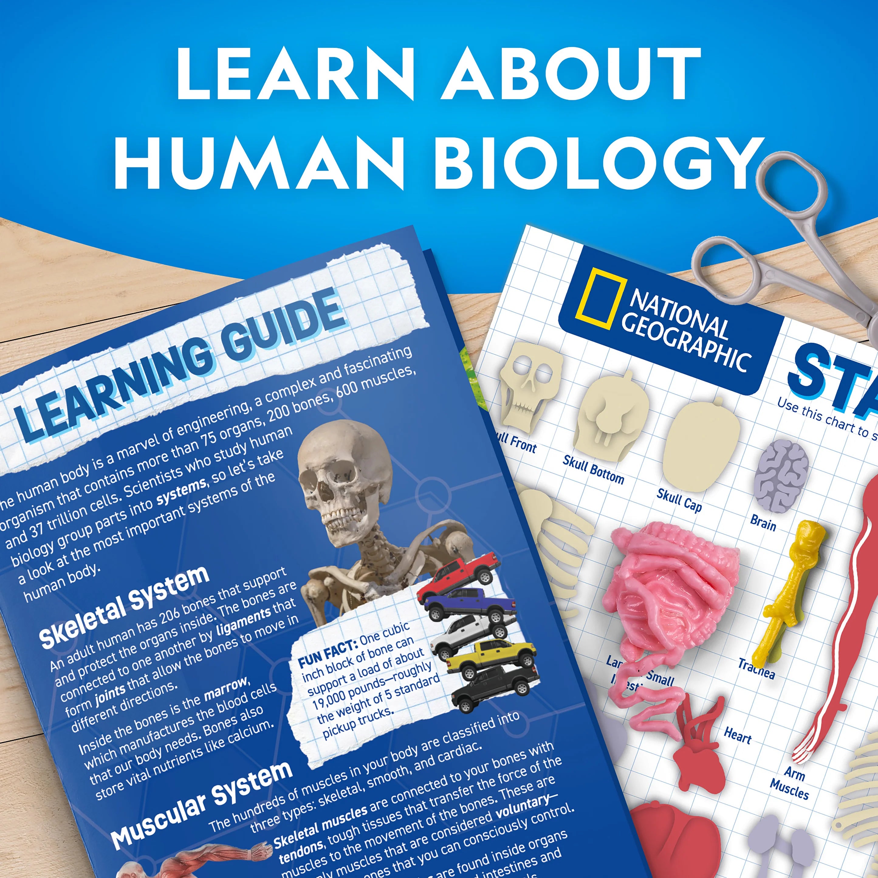 Nat Geo Human Body Science Kit