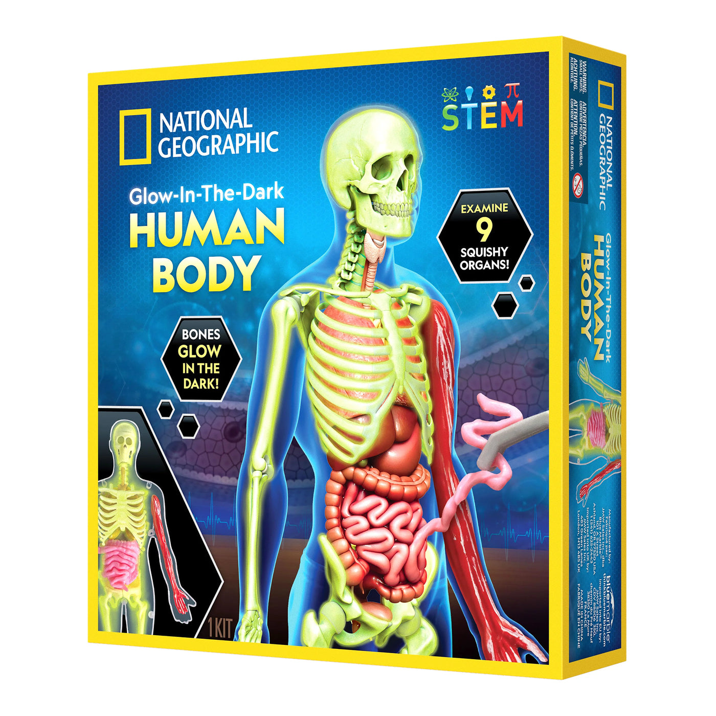 Nat Geo Human Body Science Kit