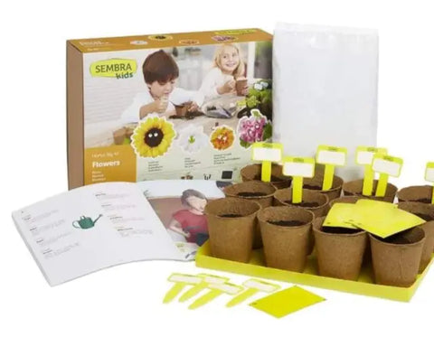 Sembra Kids Grow Your Own Summer Flowers Kit