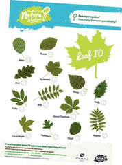 Garden Games and the great outdoors!