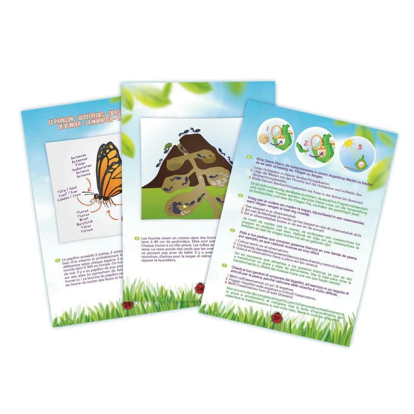 Buki Insect Explorer Kit - Halilit