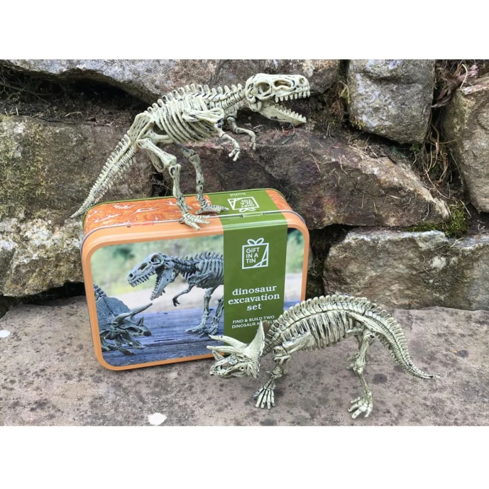 Dinosaur Excavation Gift in a Tin - Apples to Pears