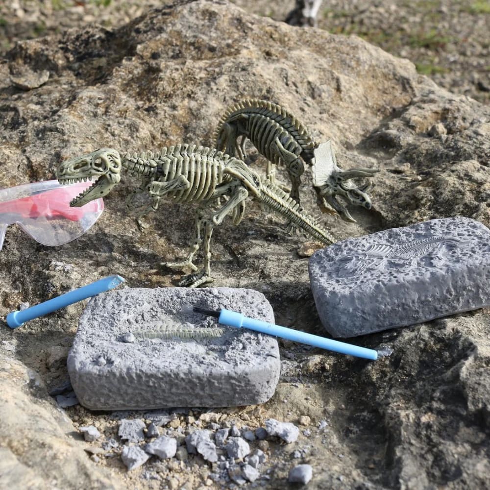 Dinosaur Excavation Gift in a Tin - Apples to Pears