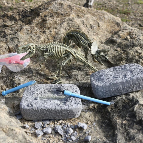 Image of Dinosaur Excavation Gift in a Tin - Apples to Pears