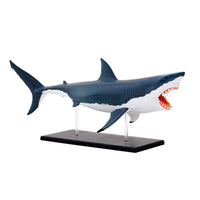 Great White Shark Anatomy Model - Thames and Kosmos 5060282510579