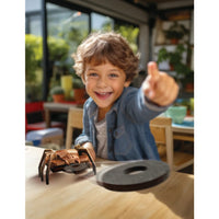 KidzRobotix Disc Launcher SpiderBot - 4M Great Gizmos 4893156033918