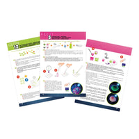 Mega Fluo & Glow Experiment Kit - Halilit