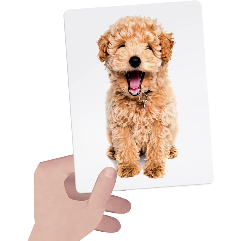 Montessori Tactile Flashcards - Baby Republic 9503007000