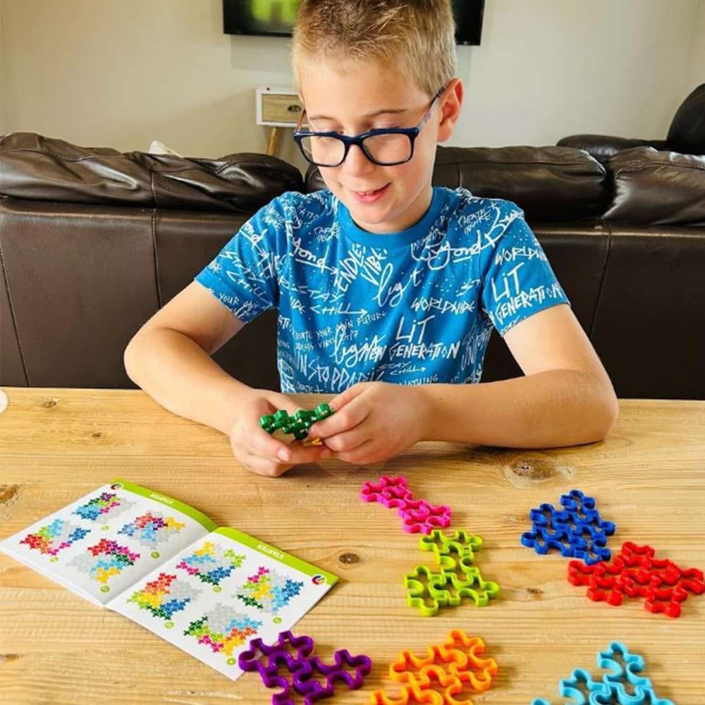 The IQ Jigsaw - Happy Puzzle Company