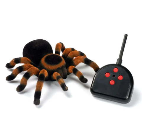 RC spider