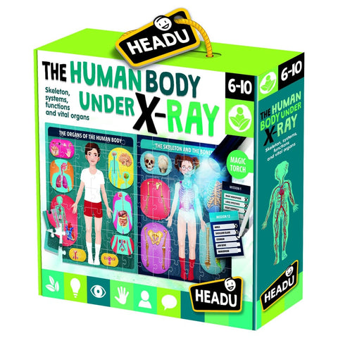 Image of An Xray of the Human Body - Headu 8059591422762