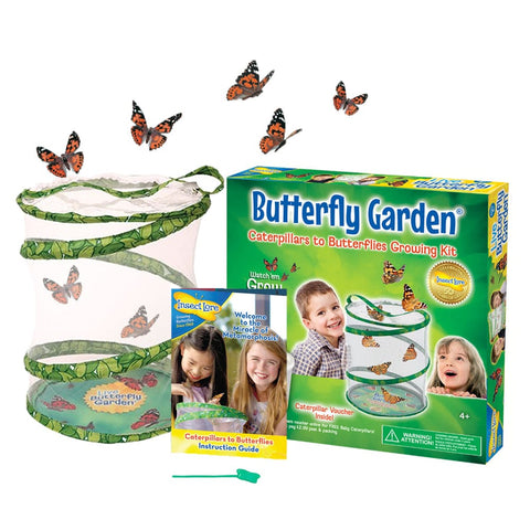 Image of Butterfly Garden Kit with live voucher - Insect Lore 885977718666