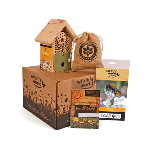 Image of For the love of Bees Gift Pack - Wildlife World 679505021843