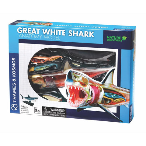 Image of Great White Shark Anatomy Model - Thames and Kosmos 5060282510579