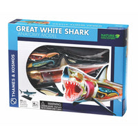 Great White Shark Anatomy Model - Thames and Kosmos 5060282510579