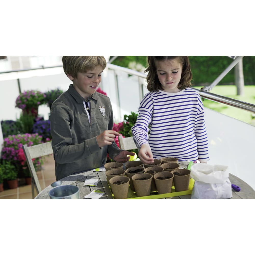 Grow your Own Aromatic Herbs - Traditional Garden Games 8437016560037