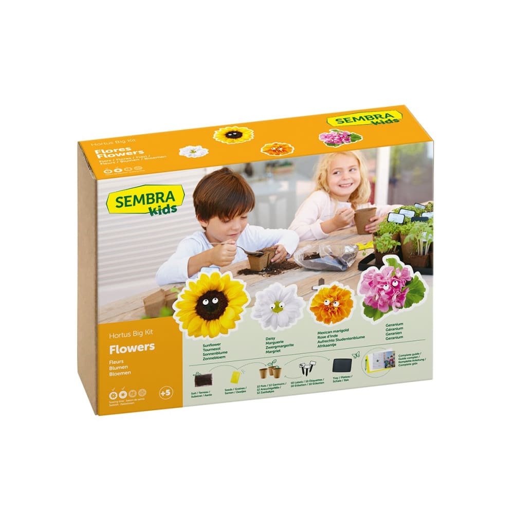 Grow your Own Summer Flowers - Traditional Garden Games 8437016560044
