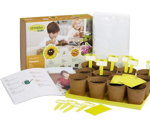 Image of Grow your Own Summer Flowers - Traditional Garden Games 8437016560044