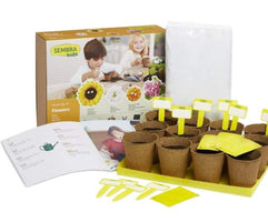 Grow your Own Summer Flowers - Traditional Garden Games 8437016560044
