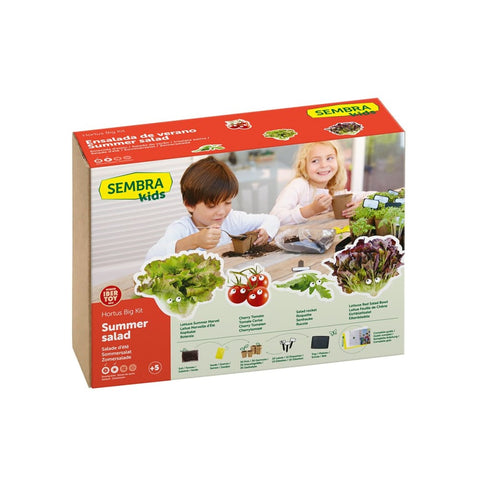 Image of Grow your Own Summer Salad - Traditional Garden Games 8437016560013