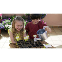 Grow your Own Summer Salad - Traditional Garden Games 8437016560013