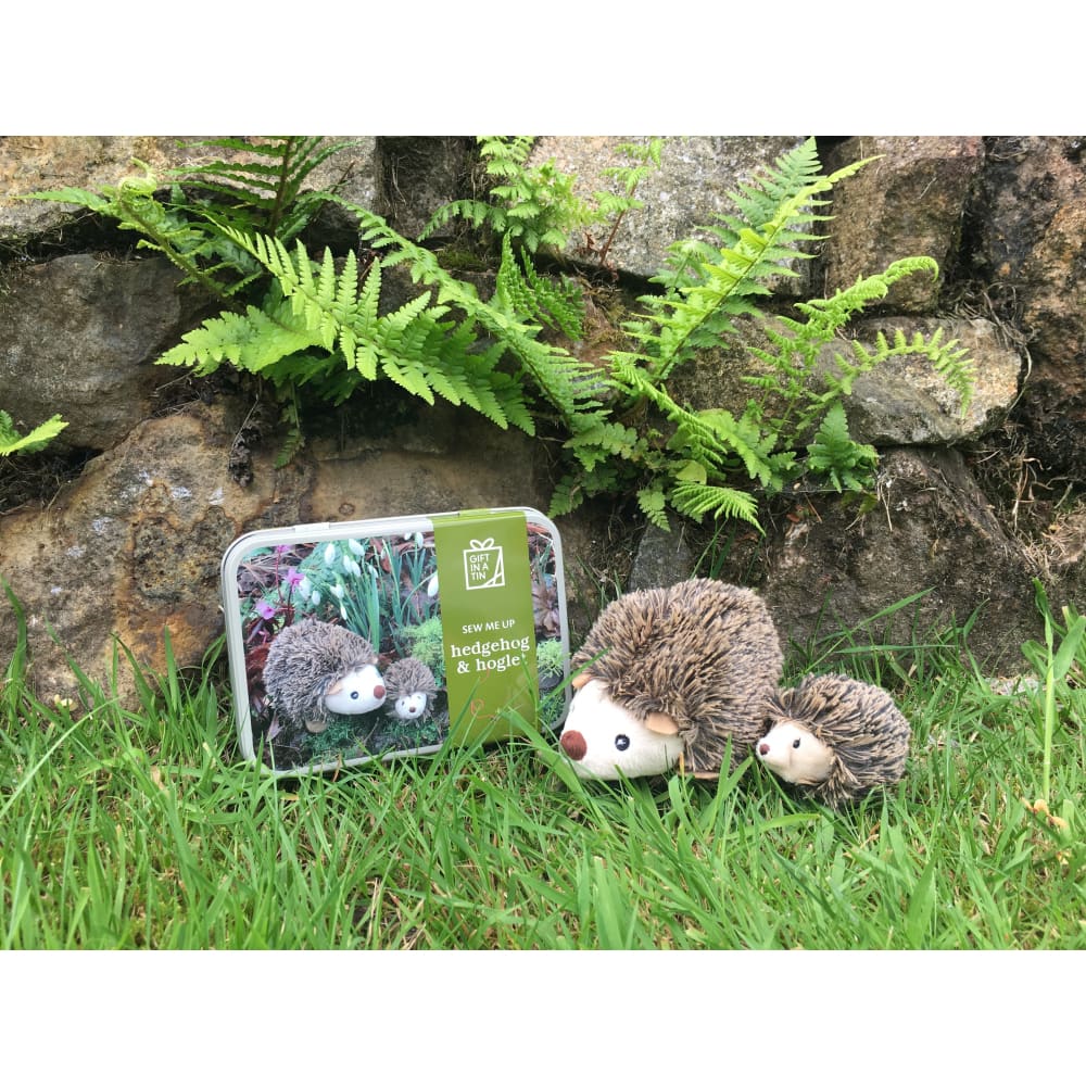Hedgehog & Hoglet Sew Me Up Gift in a Tin - Apples to Pears 5050588008306