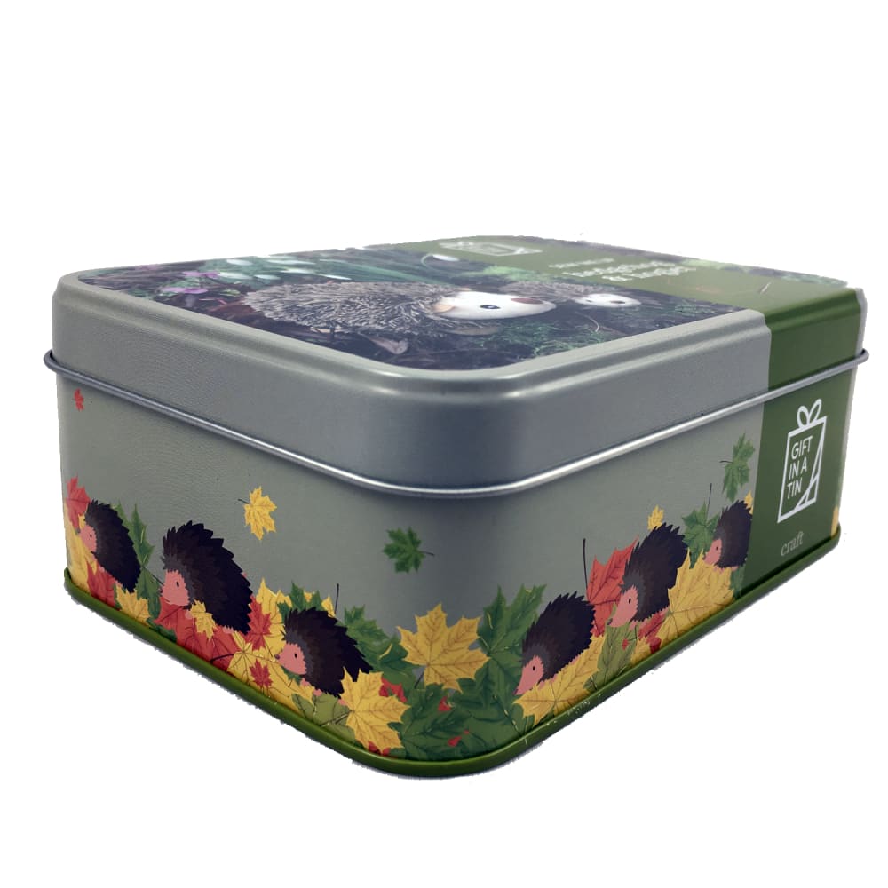 Hedgehog & Hoglet Sew Me Up Gift in a Tin - Apples to Pears 5050588008306