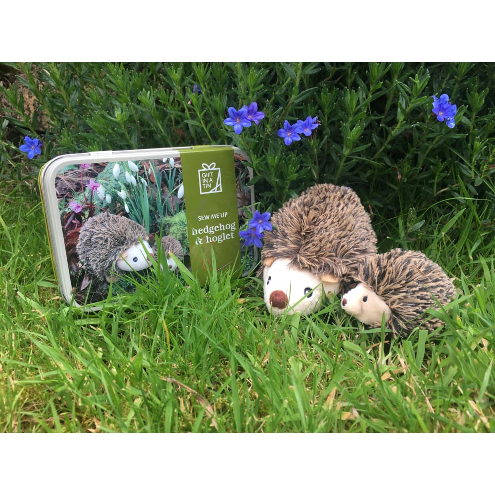 Hedgehog & Hoglet Sew Me Up Gift in a Tin - Apples to Pears 5050588008306