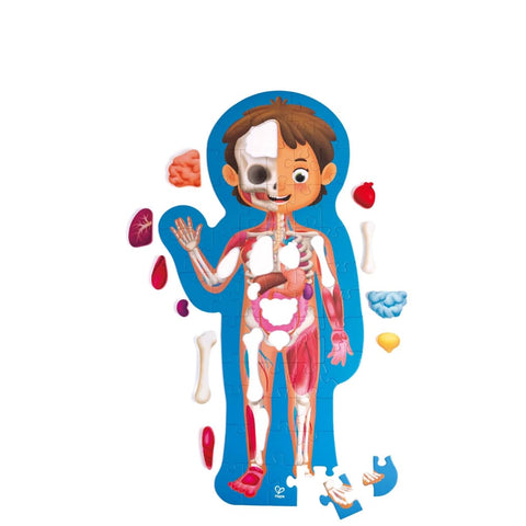 Image of Human Body Puzzle - Hape 6943478035553