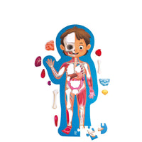Human Body Puzzle - Hape 6943478035553
