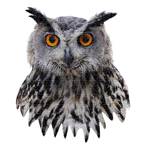 Image of I Am Owl 550 Piece Puzzle - am Puzzles 40232479731