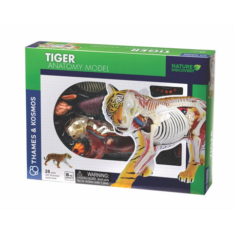 Image of Tiger Anatomy Model - Thames and Kosmos 5060282510586